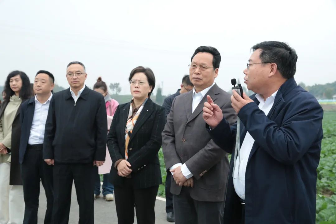 全国人大常委会委员、民盟中央专职副主席谢经荣来罗...